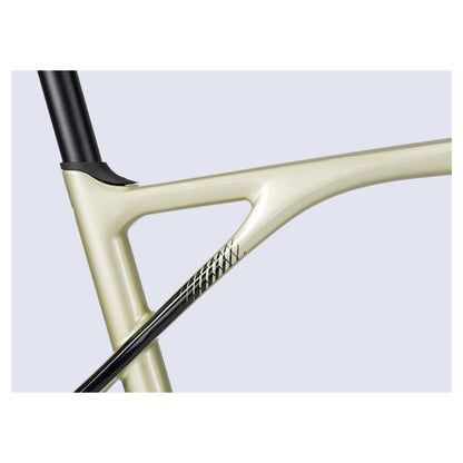 Lapierre Pulsium 5.0 -levy