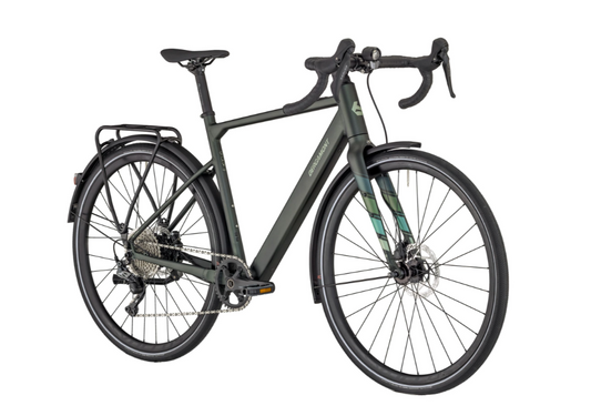 Przygoda z elektrycznym zamiataniem Bergamont