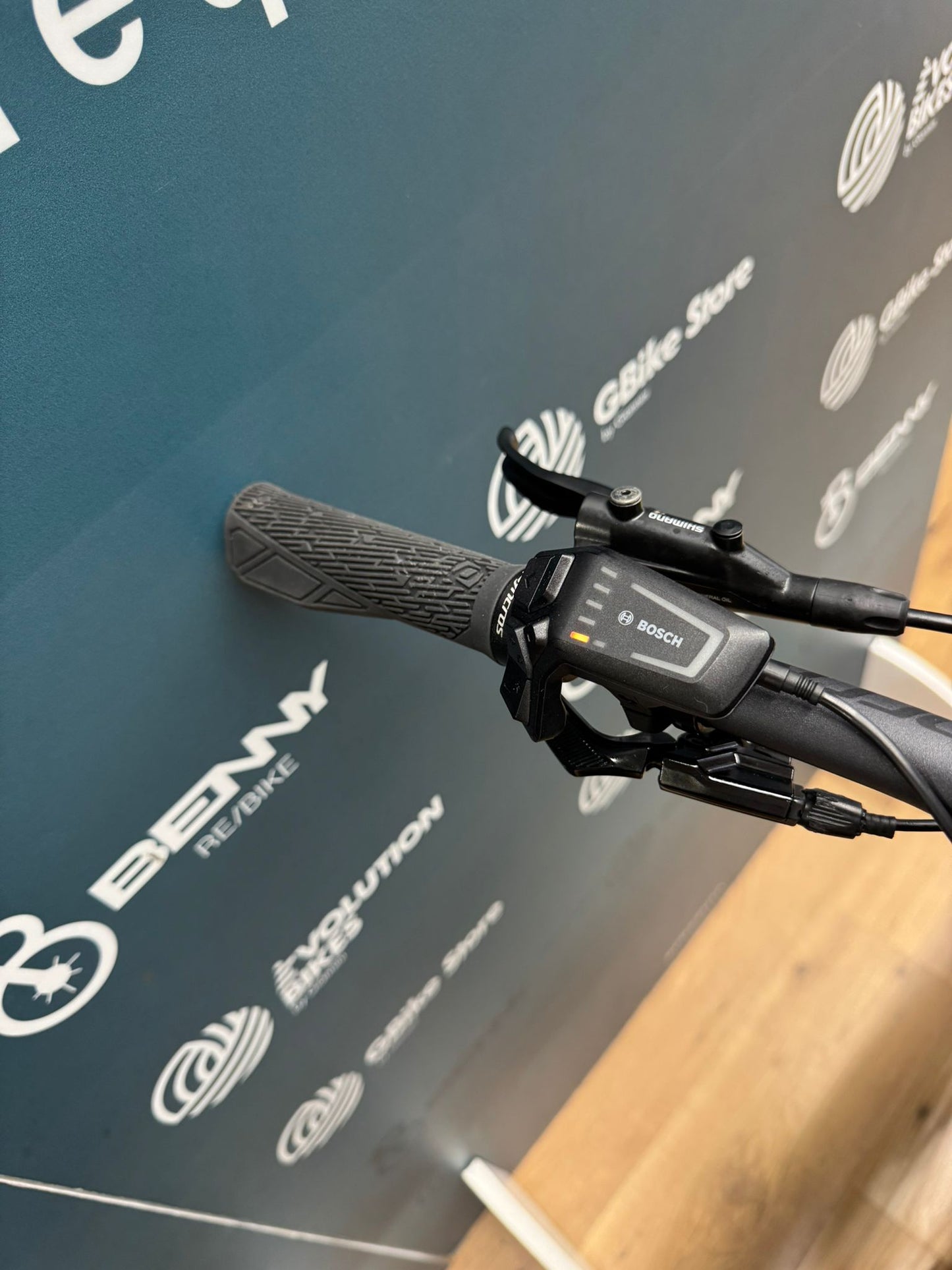 Bergamont E-Trailster 150 Expert Size L - DEMO-TEST