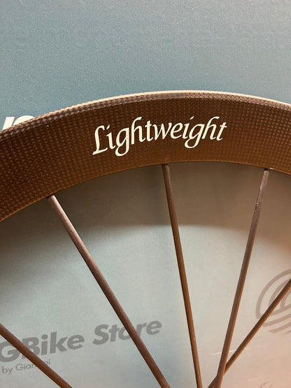 Lightweight Meilenstein EVO Disc - Used