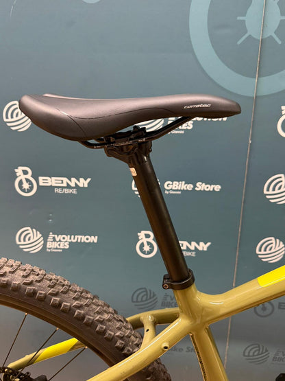 Corratec E-Power X-Vert LTD GENT 750Wh Größe 44 - Demo-Test