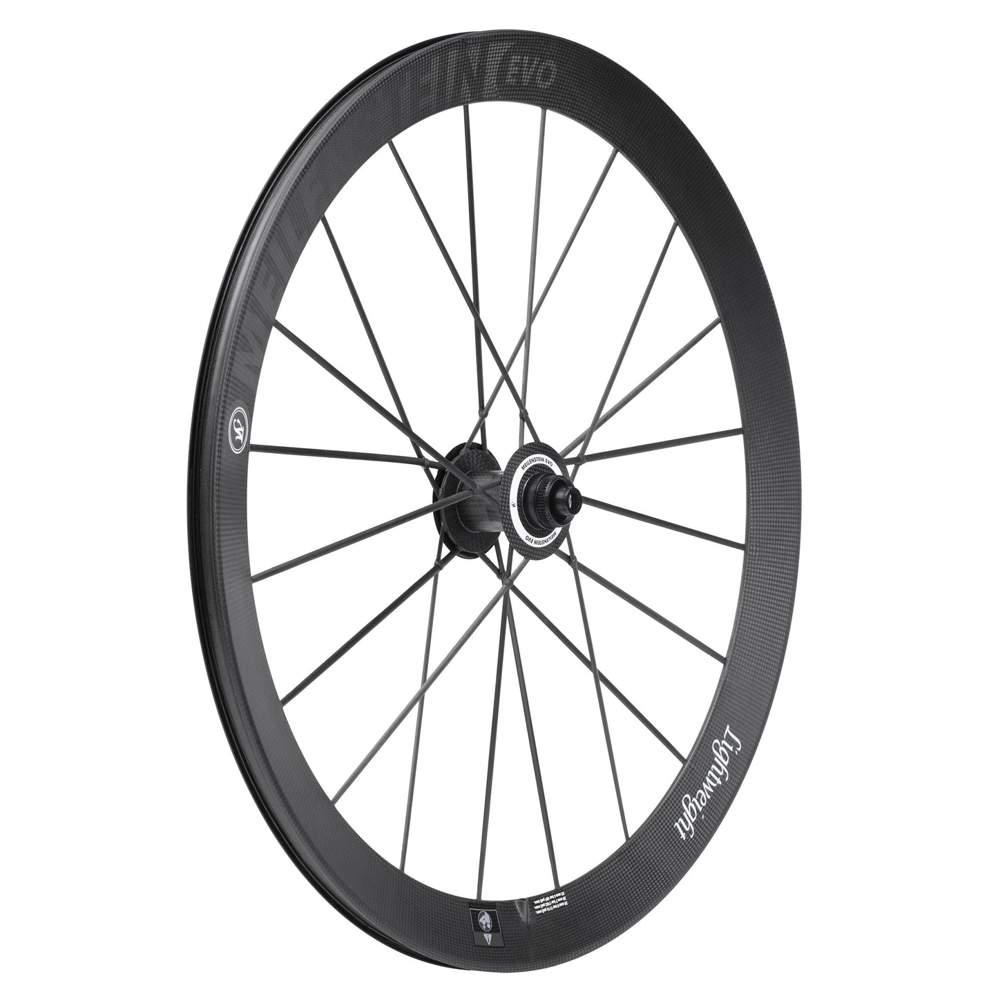 Lightweight Meilenstein Evo Disc Tubeless wheels